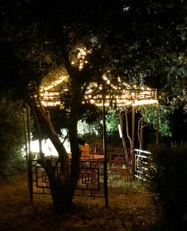 La Cactee Singuliere Bed & Breakfast Beziers Exterior photo